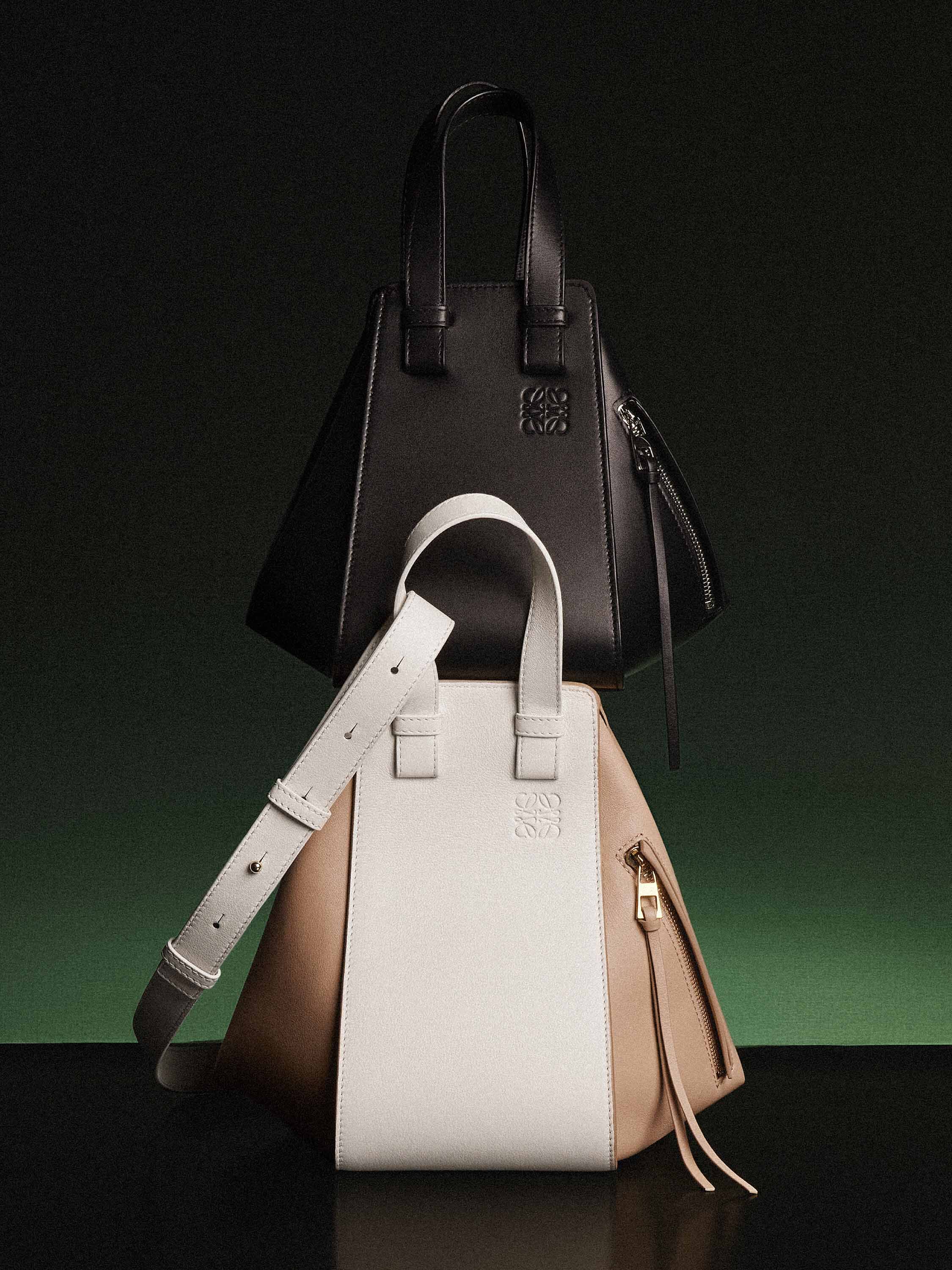 Best loewe bag hotsell